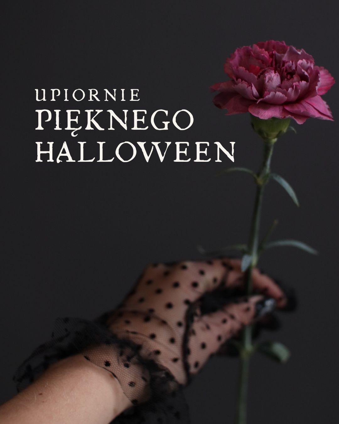 Halloween szablon Canva